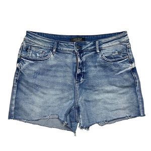 Judy Blue Distressed Denim Shorts Women’s Size 1X